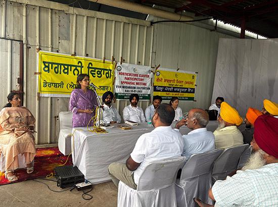 ਬਾਗਬਾਨੀ ਵਿਭਾਗ ਵੱਲੋਂ ਮਲਕਪੁਰ ਵਿਖੇ ਬਾਗਬਾਨੀ ਵਿਭਾਗ ਦੀਆਂ ਸਕੀਮਾਂ ਬਾਰੇ ਜਾਗਰੂਕ ਕੈਂਪ