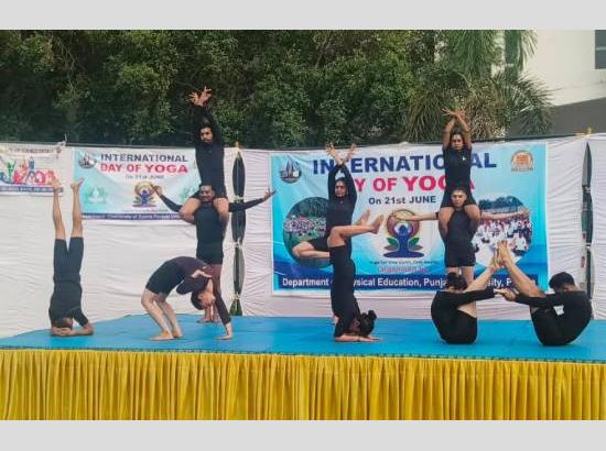 International Yoga Day: ਯੋਗਾ ਦਾ ਕੋਈ ਬਦਲ ਨਹੀਂ ਹੈ: VC ਡਾ. ਜਗਦੀਪ ਸਿੰਘ