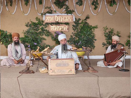 ਢੱਕ ਦੇ ਖਿੜ੍ਹੇ ਫੁੱਲਾਂ ਨਾਲ ਖੁਸ਼ੀਆਂ ਬਿਖੇਰਦੀ 