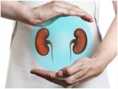 Health Alert : ਜੇਕਰ ਤੁਸੀਂ ਵੀ ਕਰਦੇ ਹੋ ਇਹ 5 ਗਲਤੀਆਂ, ਤਾਂ ਹੋ ਜਾਓ ਸਾਵਧਾਨ, Kidney ਹੋ ਸਕਦੀ ਹੈ Damage